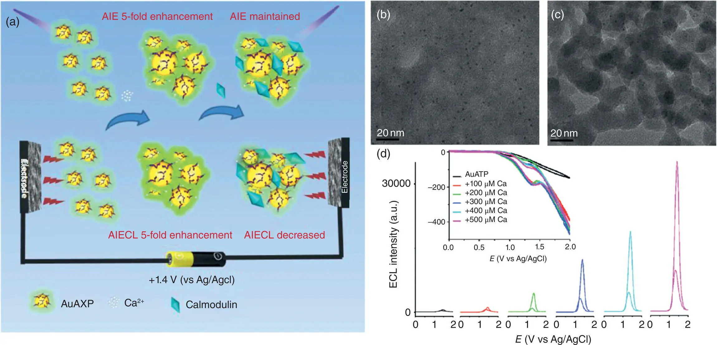 Figure 49 a Illustration of bivalent cations induced aggregation of NCs with - фото 86