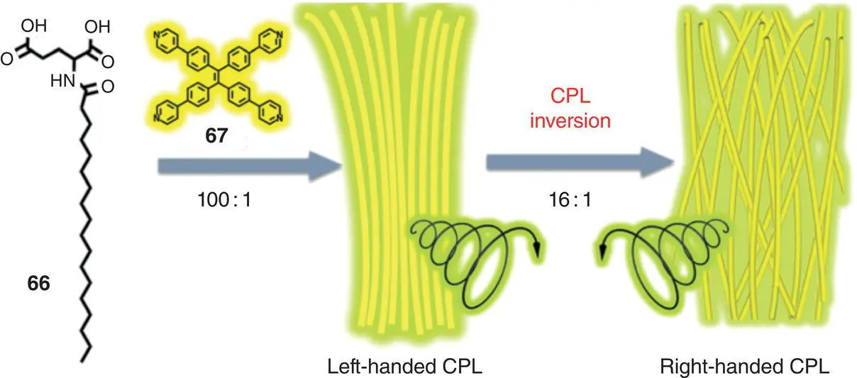 Figure 222 Schematic illustration of the coassembly of molecules 66and - фото 34