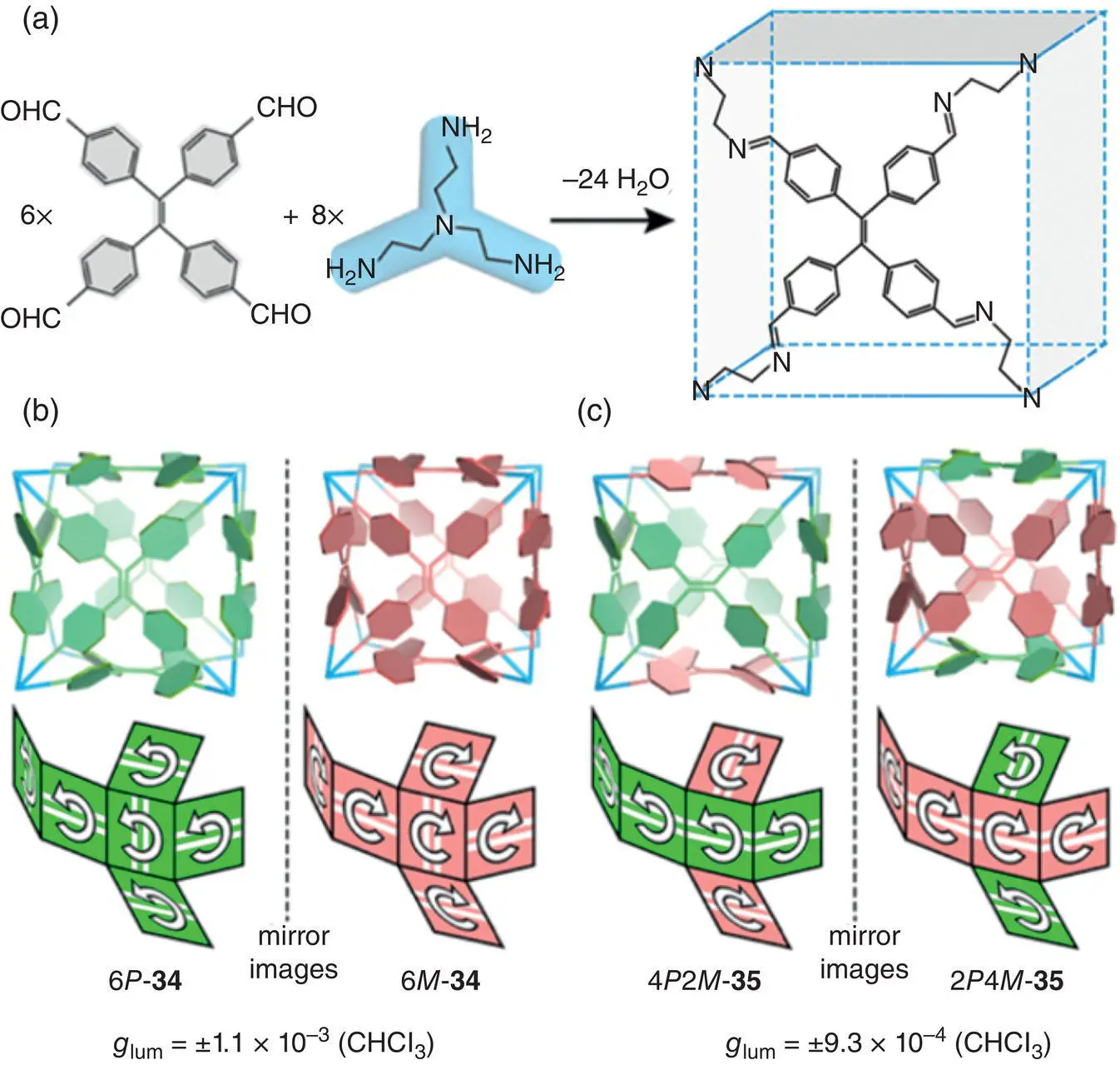 Figure 28 a Synthesis of organic cubes from six TPE tetraaldehyde units and - фото 20