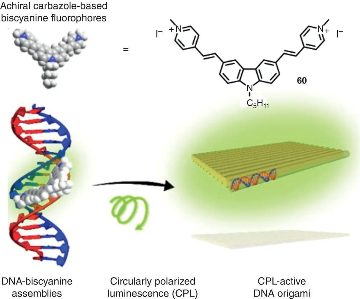 Figure 219 Schematic illustration of DNAbiscyanine hybrid CPLactive - фото 31