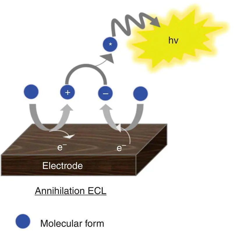 Figure 42 Schematic diagram describing the electron transfer reactions - фото 58