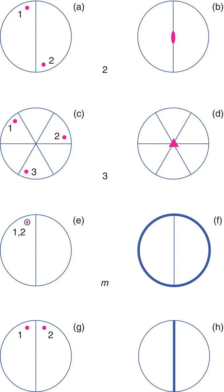 Figure 153 The point groups a b 2 c d 3 and eh m Figure 154 - фото 215