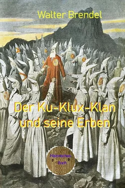 Walter Brendel Der Ku-Klux-Klan und seine Erben обложка книги