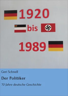 Geri Schnell Der Politiker обложка книги