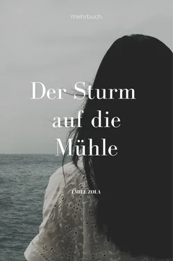 Émile Zola Der Sturm auf die Mühle обложка книги