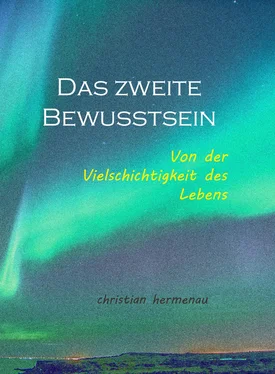 Christian Hermenau Das zweite Bewusstsein обложка книги