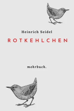 Heinrich Seidel Rotkehlchen обложка книги