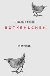Heinrich Seidel - Rotkehlchen