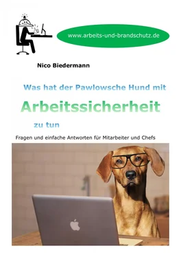 Nico Biedermann Was hat der Pawlowsche Hund mit Arbeitssicherheit zu tun обложка книги