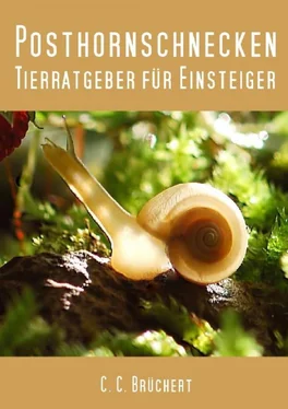 C. C. Brüchert Tierratgeber für Einsteiger - Posthornschnecken обложка книги