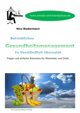 Nico Biedermann Betriebliches Gesundheitsmanagement in Verständlich übersetzt обложка книги