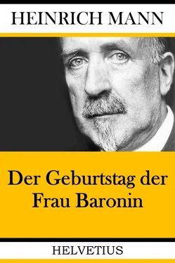 Heinrich Mann Der Geburtstag der Frau Baronin обложка книги