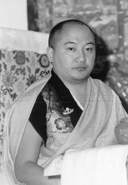 Goshir Gyaltsab Rinpoche oder Gyaltsab Rinpoche oder Gyaltsabpa hoher - фото 9