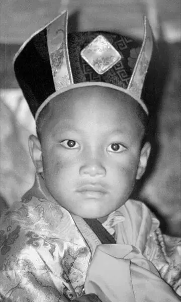 Urgyen Trinley von Tai Situ Rinpoche und vom kommunistischen China als 17 - фото 7