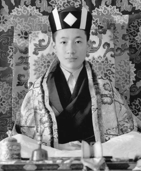 Thaye Dorje der 17 Karmapa von Shamar Rinpoche anerkannt Tai Situ Rinpoche - фото 5