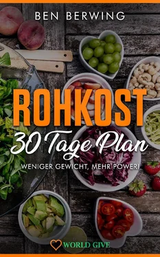 Ben Berwing Rohkost 30 Tage Plan обложка книги