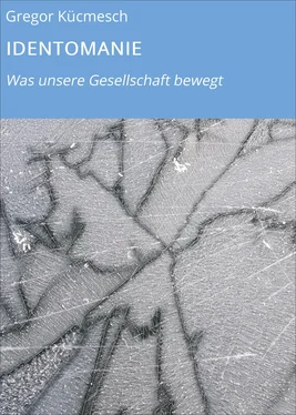 Gregor Kücmesch IDENTOMANIE обложка книги