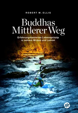 Robert M. Ellis Buddhas Mittlerer Weg обложка книги