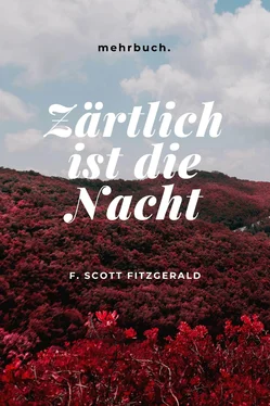 F. Scott Fitzgerald Zärtlich ist die Nacht обложка книги