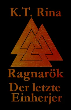 K.T. Rina Ragnarök обложка книги