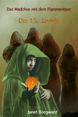 Janet Borgward Das Mädchen mit dem Flammenhaar обложка книги