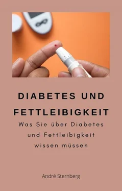 André Sternberg Diabetes und Fettleibigkeit обложка книги