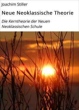 Joachim Stiller Neue Neoklassische Theorie обложка книги