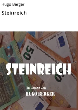 Hugo Berger Steinreich обложка книги