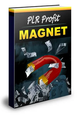 Thomas Skirde PLR-Profit Magnet обложка книги