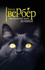 Бернар Вербер - Завтрашний день кошки