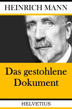 Heinrich Mann Das gestohlene Dokument обложка книги