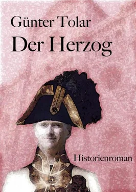 Günter Tolar Der Herzog обложка книги