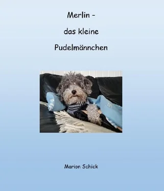 Marion Schick Merlin - das kleine Pudelmännchen обложка книги