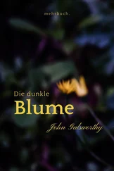 John Galsworthy - Die dunkle Blume