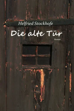 Helfried Stockhofe Die alte Tür обложка книги