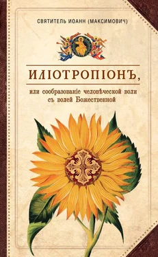 Святитель Иоанн Максимович (Тобольский) Илиотропион, или Сообразование человеческой воли с волей Божественной обложка книги