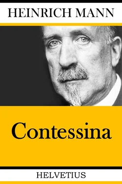 Heinrich Mann Contessina обложка книги