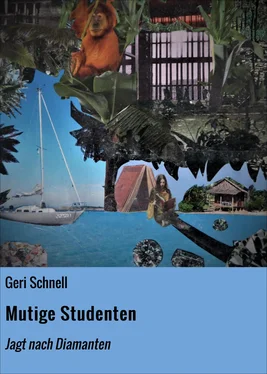 Geri Schnell Mutige Studenten обложка книги