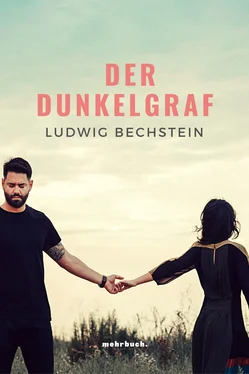 Ludwig Bechstein Der Dunkelgraf обложка книги