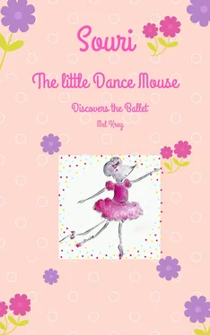 Mel Krey Souri The little Dance Mouse обложка книги