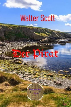 Walter Scott Der Pirat обложка книги