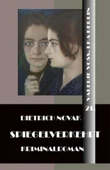 Dietrich Novak - Spiegelverkehrt