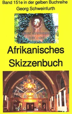 Georg Schweinfurth Georg Schweinfurth: Afrikanisches Skizzenbuch обложка книги