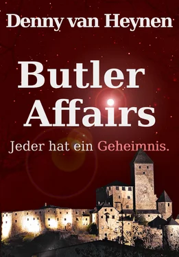 Denny van Heynen Butler Affairs обложка книги