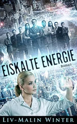 Liv-Malin Winter - Eiskalte Energie