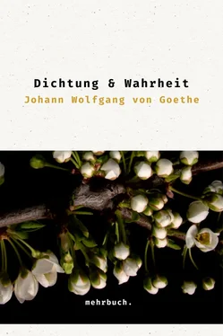Johann Wolfgang von Goethe Dichtung und Wahrheit обложка книги