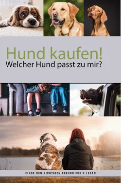 Felix Dr. Labrador Hund kaufen aber welcher Hund passt zu mir? обложка книги