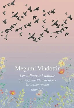 Megumi Vindottir Virginie Pleindespoir - Les adieux à l`amour обложка книги
