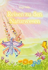 Birgit Mills - Reisen zu den Naturwesen
