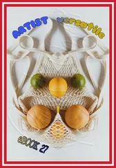 RAYMONDi - ARTIST versatile